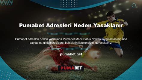 Pumabet Yeni Domain Adresi